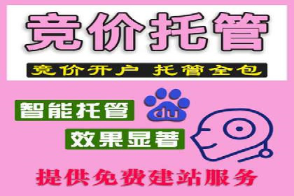 百度竞价广告案例：精准营销效果显著