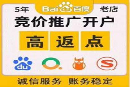 SEM广告投放案例：提升网站流量与转化